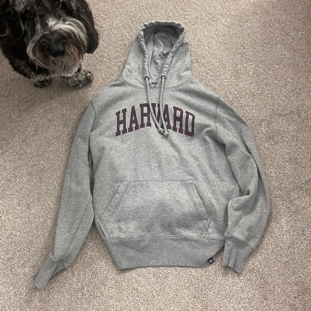 2000s harvard hoodie